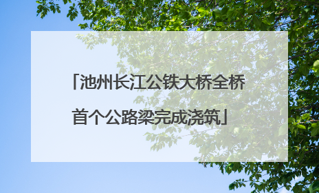 池州长江公铁大桥全桥首个公路梁完成浇筑