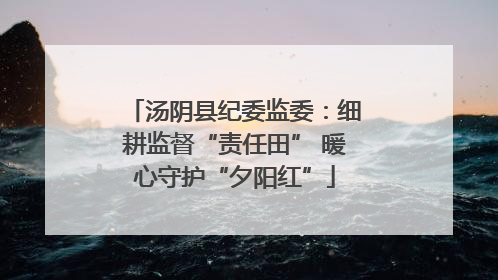 汤阴县纪委监委：细耕监督“责任田” 暖心守护“夕阳红”