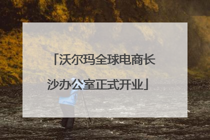 沃尔玛全球电商长沙办公室正式开业