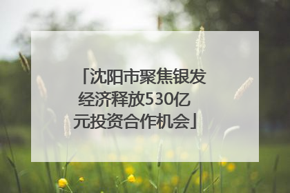 沈阳市聚焦银发经济释放530亿元投资合作机会