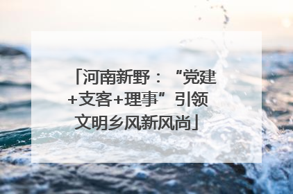 河南新野：“党建+支客+理事”引领文明乡风新风尚