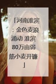 河南淮滨：金色麦浪涌动 淮滨80万亩弱筋小麦开镰