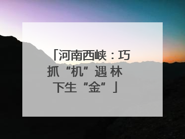 河南西峡：巧抓“机”遇 林下生“金”