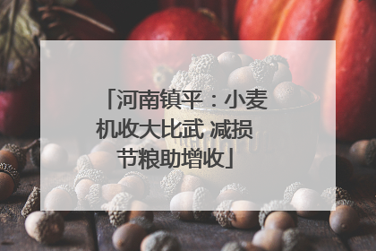 河南镇平：小麦机收大比武 减损节粮助增收