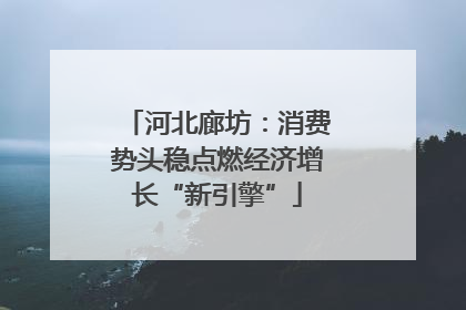 河北廊坊：消费势头稳点燃经济增长“新引擎”