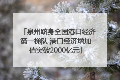 泉州跻身全国港口经济第一梯队 港口经济增加值突破2000亿元
