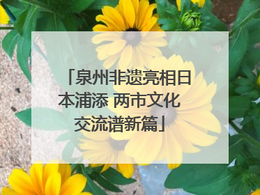 泉州非遗亮相日本浦添 两市文化交流谱新篇