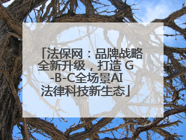 法保网：品牌战略全新升级，打造 G-B-C全场景AI法律科技新生态