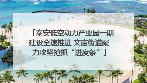 泰安低空动力产业园一期建设全速推进 文庙街道聚力攻坚抢抓“进度条”