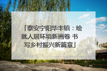 泰安宁阳华丰镇：绘就人居环境新画卷 书写乡村振兴新篇章