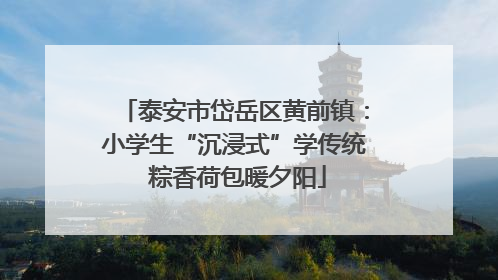 泰安市岱岳区黄前镇：小学生“沉浸式”学传统 粽香荷包暖夕阳