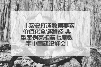 泰安打通数据要素价值化全链路径 典型案例亮相第七届数字中国建设峰会