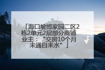 海口坡博家园二区2栋2单元2层部分商铺业主：“交房10个月未通自来水”