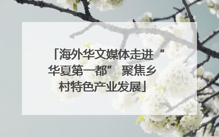海外华文媒体走进“华夏第一都” 聚焦乡村特色产业发展