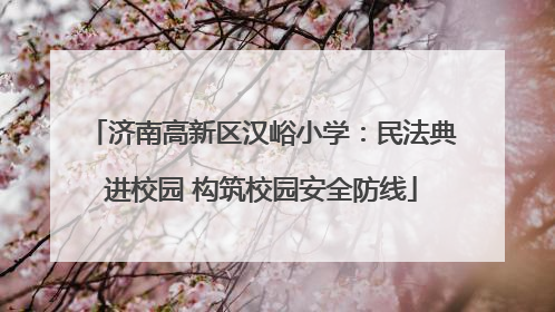 济南高新区汉峪小学：民法典进校园 构筑校园安全防线