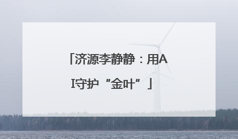 济源李静静：用AI守护“金叶”