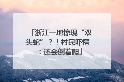 浙江一地惊现“双头蛇”？！村民吓懵：还会倒着爬