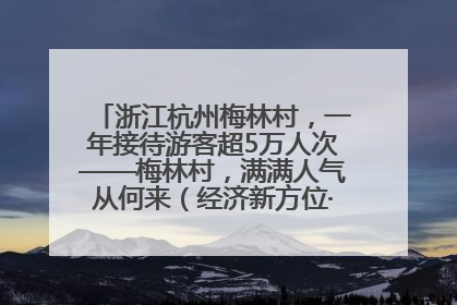 浙江杭州梅林村，一年接待游客超5万人次——梅林村，满满人气从何来（经济新方位·农村消费观察）
