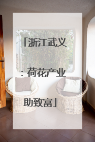 浙江武义：荷花产业助致富