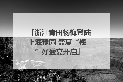 浙江青田杨梅登陆上海豫园 盛夏“梅”好盛宴开启