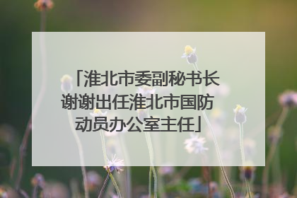 淮北市委副秘书长谢谢出任淮北市国防动员办公室主任