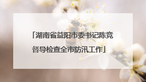 湖南省益阳市委书记陈竞督导检查全市防汛工作