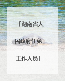 湖南省人民政府任免工作人员