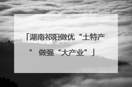 湖南祁阳做优“土特产” 做强“大产业”