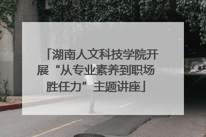 湖南人文科技学院开展“从专业素养到职场胜任力”主题讲座