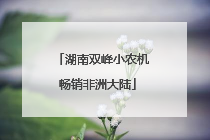 湖南双峰小农机畅销非洲大陆