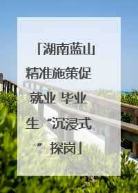 湖南蓝山精准施策促就业 毕业生“沉浸式”探岗