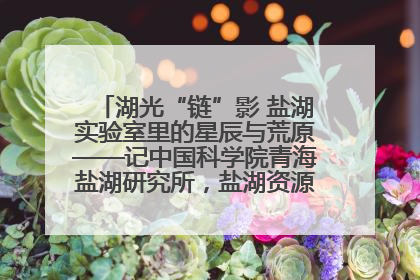 湖光“链”影 盐湖实验室里的星辰与荒原——记中国科学院青海盐湖研究所，盐湖资源化学实验室党总支书记、副主任刘忠