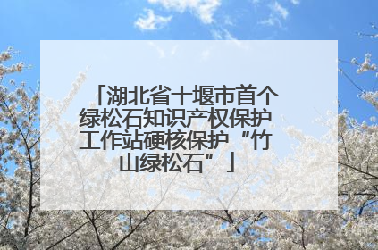 湖北省十堰市首个绿松石知识产权保护工作站硬核保护“竹山绿松石”