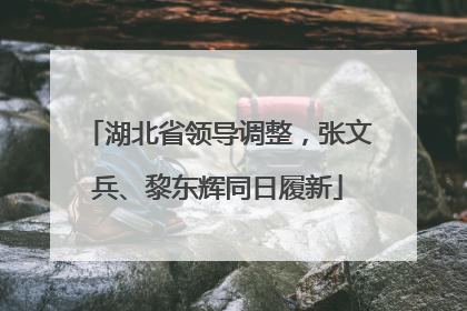 湖北省领导调整，张文兵、黎东辉同日履新
