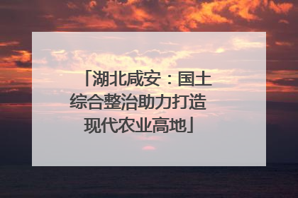 湖北咸安：国土综合整治助力打造现代农业高地