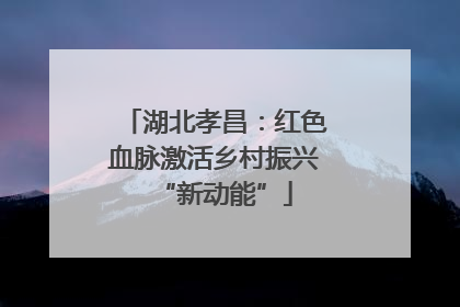 湖北孝昌：红色血脉激活乡村振兴“新动能”