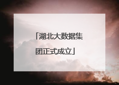 湖北大数据集团正式成立