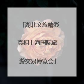湖北文旅精彩亮相上海国际旅游交易博览会