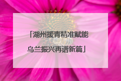湖州援青精准赋能 乌兰振兴再谱新篇