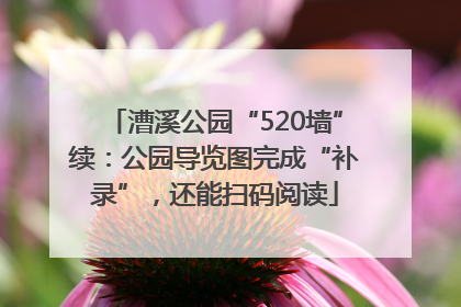 漕溪公园“520墙”续：公园导览图完成“补录”，还能扫码阅读