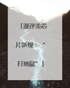 漫评美芯片新规：“打地鼠”