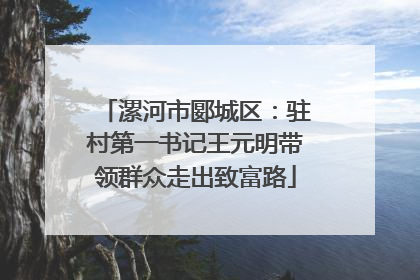漯河市郾城区：驻村第一书记王元明带领群众走出致富路