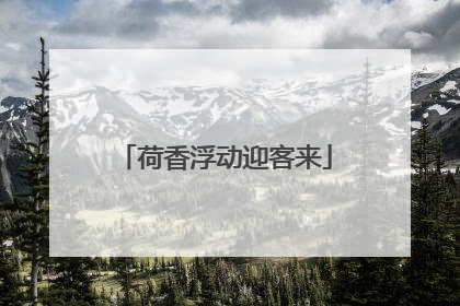荷香浮动迎客来