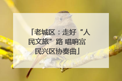 老城区：走好“人民文旅”路 唱响富民兴区协奏曲