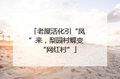 老屋活化引“凤”来，梨园村蝶变“网红村”