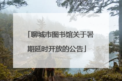 聊城市图书馆关于暑期延时开放的公告