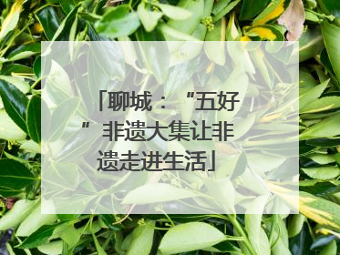 聊城：“五好”非遗大集让非遗走进生活