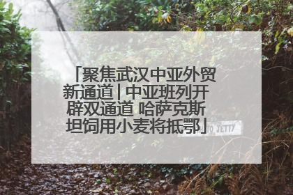 聚焦武汉中亚外贸新通道│中亚班列开辟双通道 哈萨克斯坦饲用小麦将抵鄂