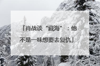 肖战谈“藏海”：他不是一味想要去复仇
