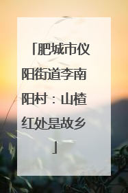 肥城市仪阳街道李南阳村：山楂红处是故乡